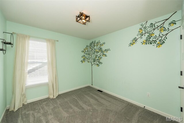 6726 Bailey Farm Rd, Imperial, MO 63052 - photo 27