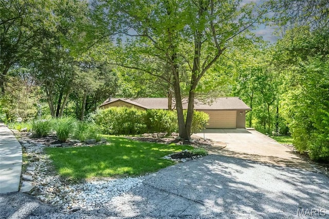view of front facade featuring concrete driveway, an attached garage, and a front lawn