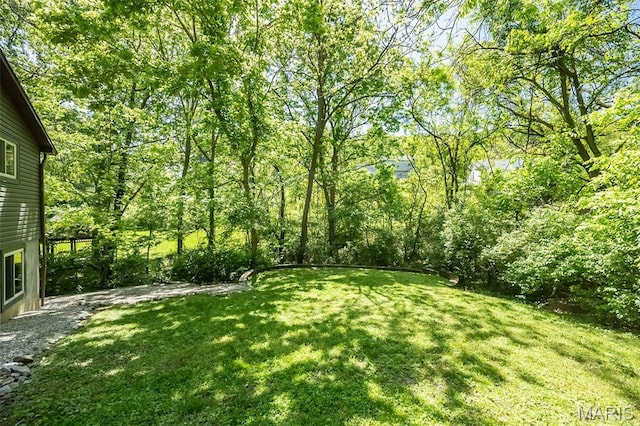 view of green lawn