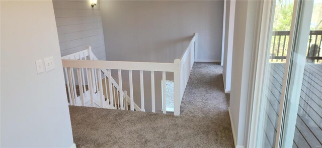 13559 Kitt Park Dr, Saint Genevieve, MO 63670 - hallway with carpet floors and an upstairs landing