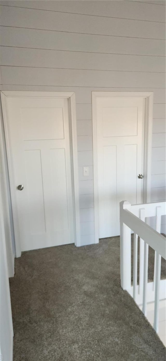 13559 Kitt Park Dr, Saint Genevieve, MO 63670 - hall featuring carpet flooring and wooden walls
