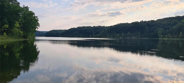 13559 Kitt Park Dr, Saint Genevieve, MO 63670 - water view with a heavily wooded area