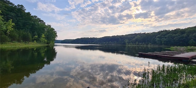 13559 Kitt Park Dr, Saint Genevieve, MO 63670 - water view with a heavily wooded area and a floating dock