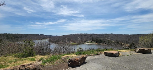 13559 Kitt Park Dr, Saint Genevieve, MO 63670 - water view with a heavily wooded area