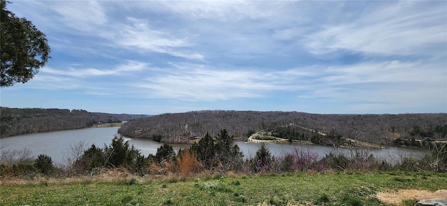 13559 Kitt Park Dr, Saint Genevieve, MO 63670 - water view featuring a heavily wooded area