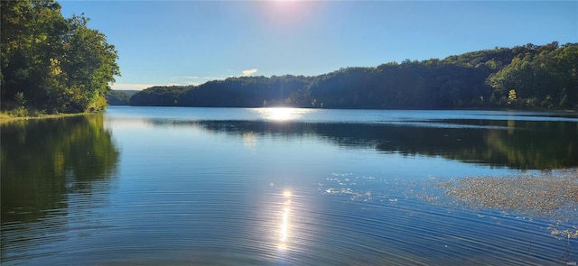 13559 Kitt Park Dr, Saint Genevieve, MO 63670 - water view featuring a forest