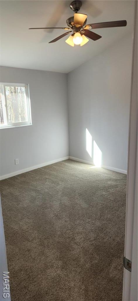 13559 Kitt Park Dr, Saint Genevieve, MO 63670 - unfurnished room with carpet floors and ceiling fan