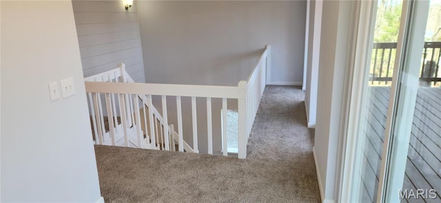 13559 Kitt Park Dr, Saint Genevieve, MO 63670 - hall featuring carpet floors and an upstairs landing
