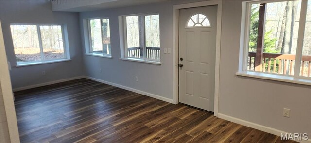 13559 Kitt Park Dr, Saint Genevieve, MO 63670 - entryway with baseboards and dark wood-style flooring