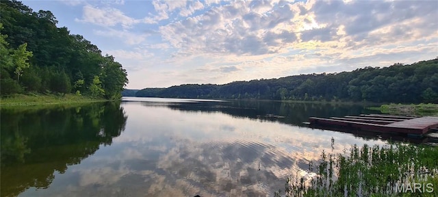 13559 Kitt Park Dr, Saint Genevieve, MO 63670 - water view with a forest and a floating dock