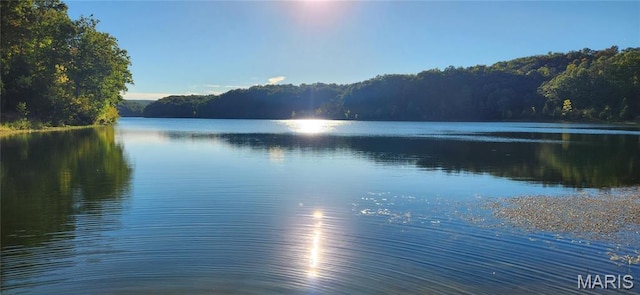 13559 Kitt Park Dr, Saint Genevieve, MO 63670 - water view featuring a forest