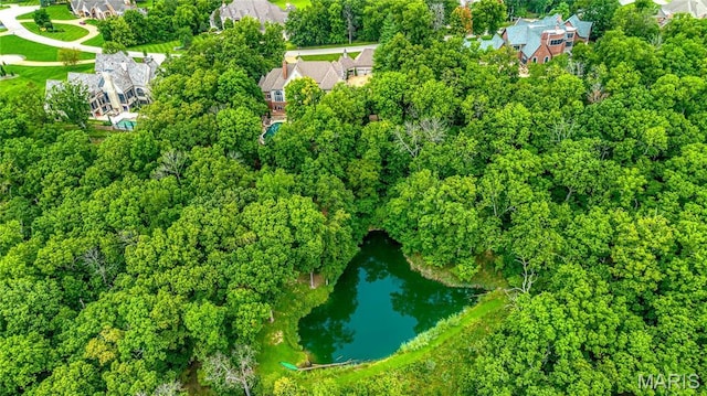 view of property location with a nearby body of water and nearby suburban area