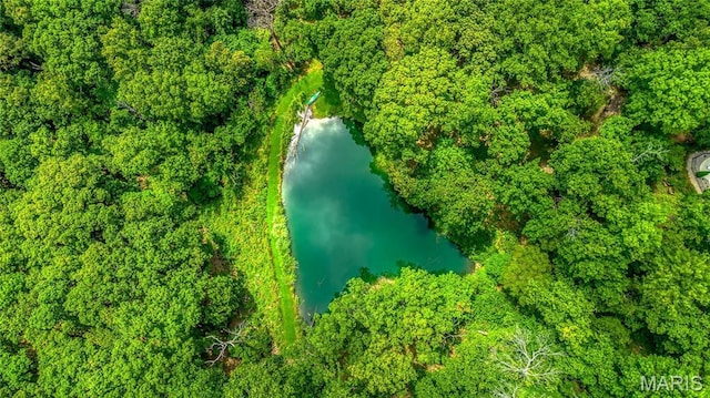 aerial view of property's location with a nearby body of water