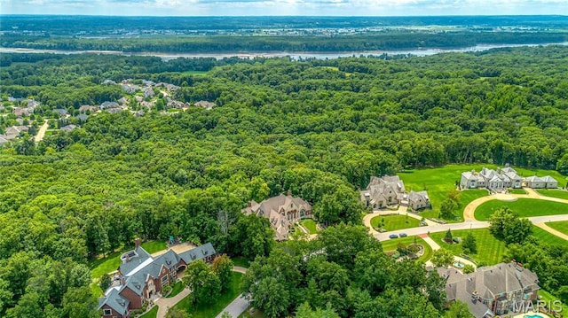 aerial perspective of suburban area with a forest and a nearby body of water