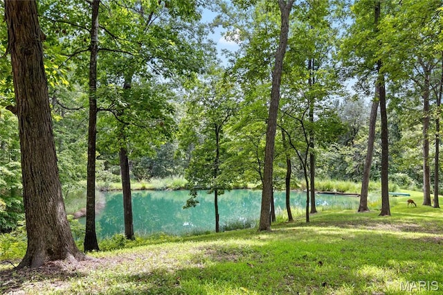 water view