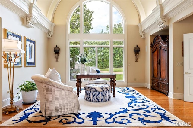 living area featuring light wood-style flooring, a high ceiling, and baseboards