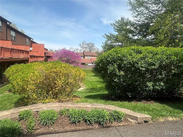 view of grassy yard