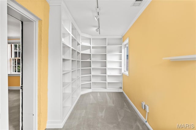 46 Broadview Dr, Clayton, MO 63105 - walk in closet featuring carpet flooring
