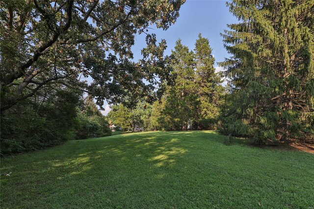 14643 Chermoore Dr, Chesterfield, MO 63017 - view of green lawn
