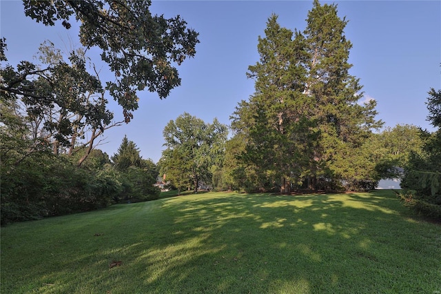 14643 Chermoore Dr, Chesterfield, MO 63017 - view of grassy yard