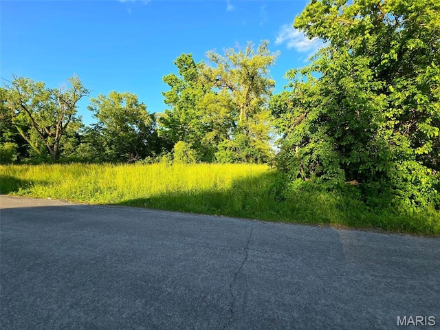 1309 N 43rd St E, St Louis, IL 62204 - photo 1