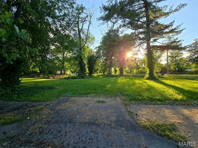 1309 N 43rd St E, St Louis, IL 62204 - photo 2