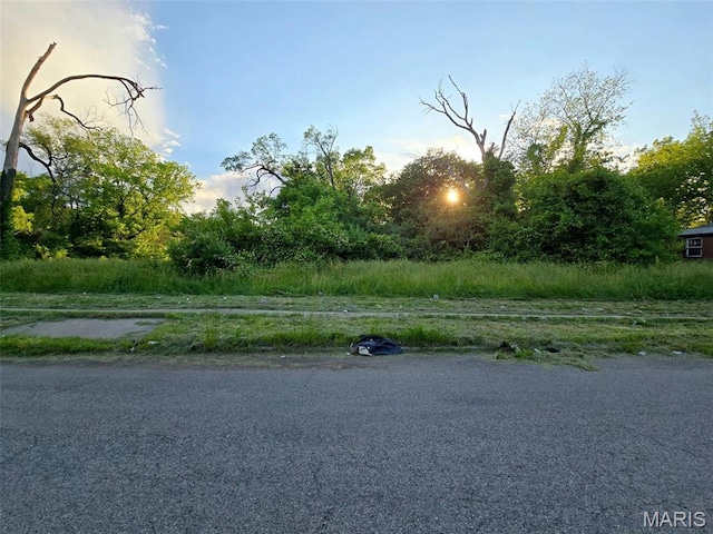 1309 N 43rd St E, St Louis, IL 62204 - photo 6