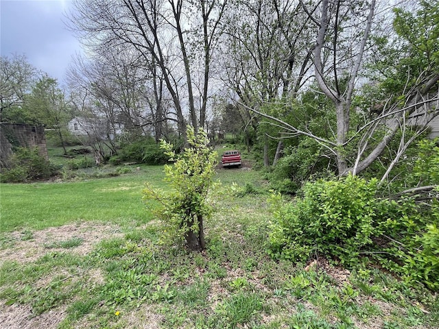 3000 Ashby Rd, Saint Louis, MO 63114 - photo 9