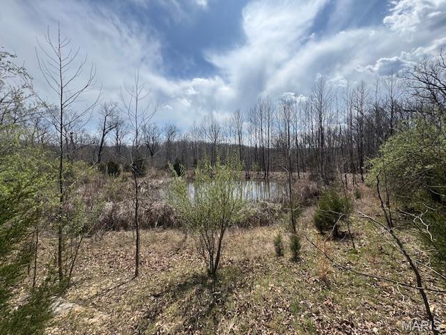 27431 Lee Ct, Warrenton, MO 63383 - photo 3