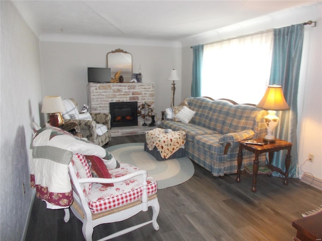 living area featuring wood finished floors and a fireplace