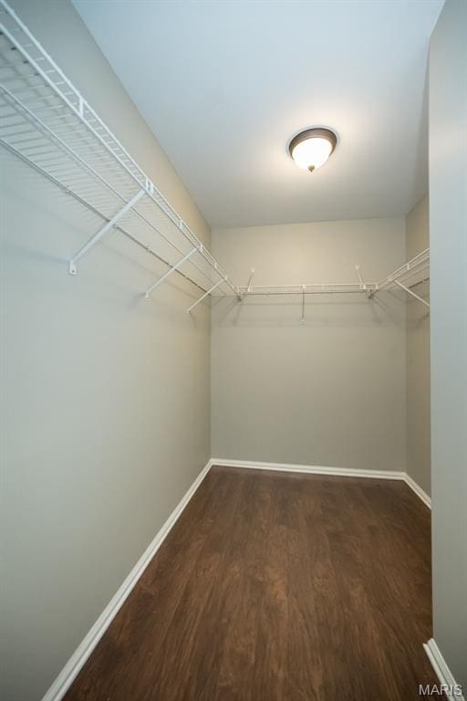 711 Lofty Point Dr Unit B, Ballwin, MO 63021 - spacious closet with wood finished floors