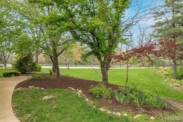 711 Lofty Point Dr Unit B, Ballwin, MO 63021 - view of property's community with a lawn