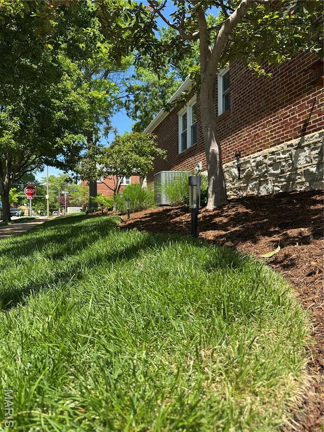 6060 Oleatha Ave, Saint Louis, MO 63139 - view of yard