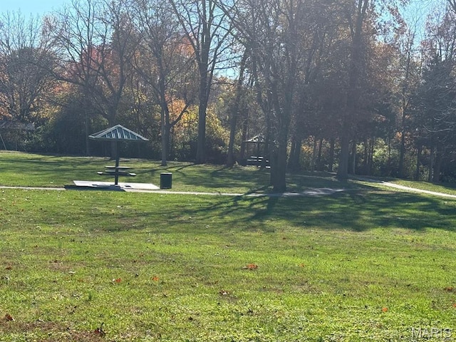 view of grassy yard