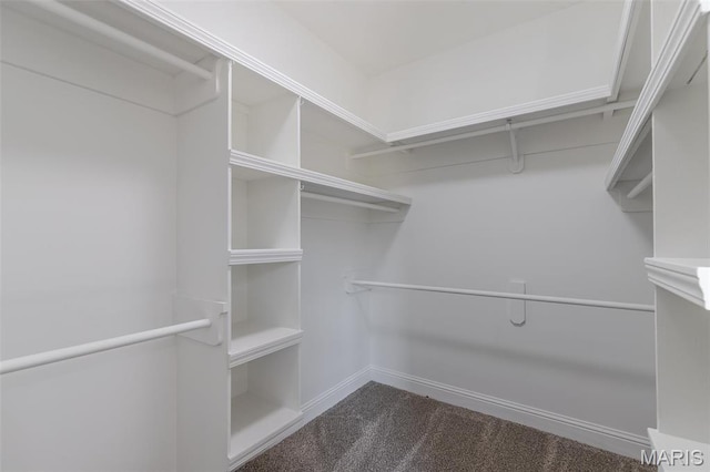 2940 Karmen Ln, Poplar Bluff, MO 63901 - walk in closet with dark carpet
