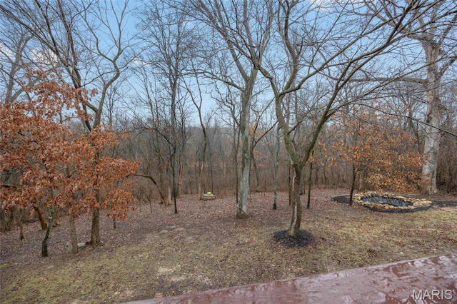 209 Hartland Ct, Hillsboro, MO 63050 - view of yard