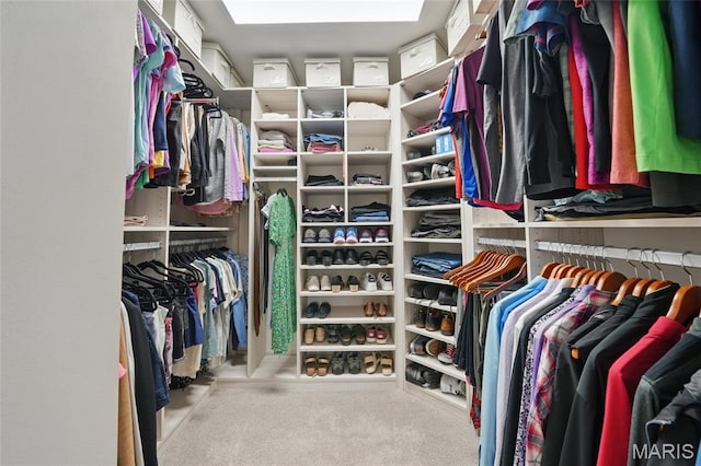 13456 Sunset Meadows Ln, Saint Louis, MO 63128 - spacious closet with carpet