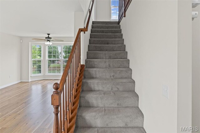 716 Terra Springs Way Dr, Fairview Heights, IL 62208 - photo 6