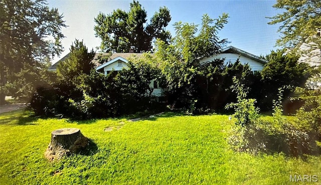 604 Salling St, Perry, MO 63462 - view of grassy yard