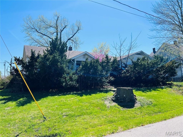 604 Salling St, Perry, MO 63462 - view of green lawn
