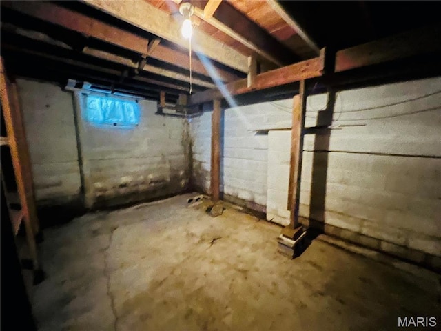 604 Salling St, Perry, MO 63462 - view of basement
