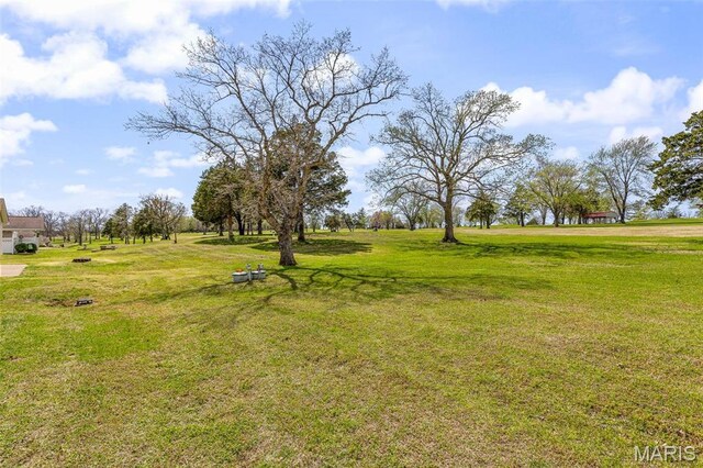 1654 Napoleon Dr, Bonne Terre, MO 63628 - view of green lawn