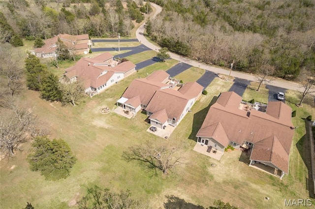 1654 Napoleon Dr, Bonne Terre, MO 63628 - aerial view of residential area
