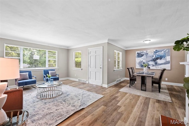 309 N Schlueter Ave, Saint Louis, MO 63135 - living room with wood finished floors and baseboards