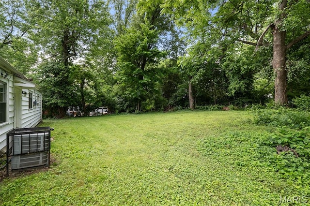 309 N Schlueter Ave, Saint Louis, MO 63135 - view of grassy yard