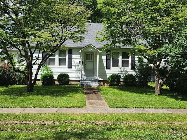 view of front facade featuring entry steps, a shingled roof, and a front lawn