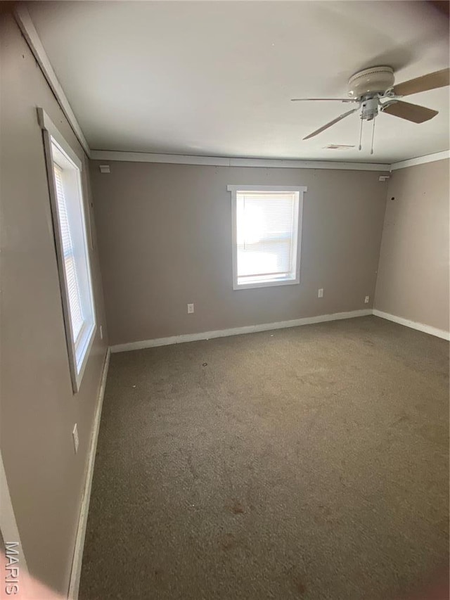 519 Albert St, Fredericktown, MO 63645 - empty room with ornamental molding, carpet, baseboards, and a ceiling fan