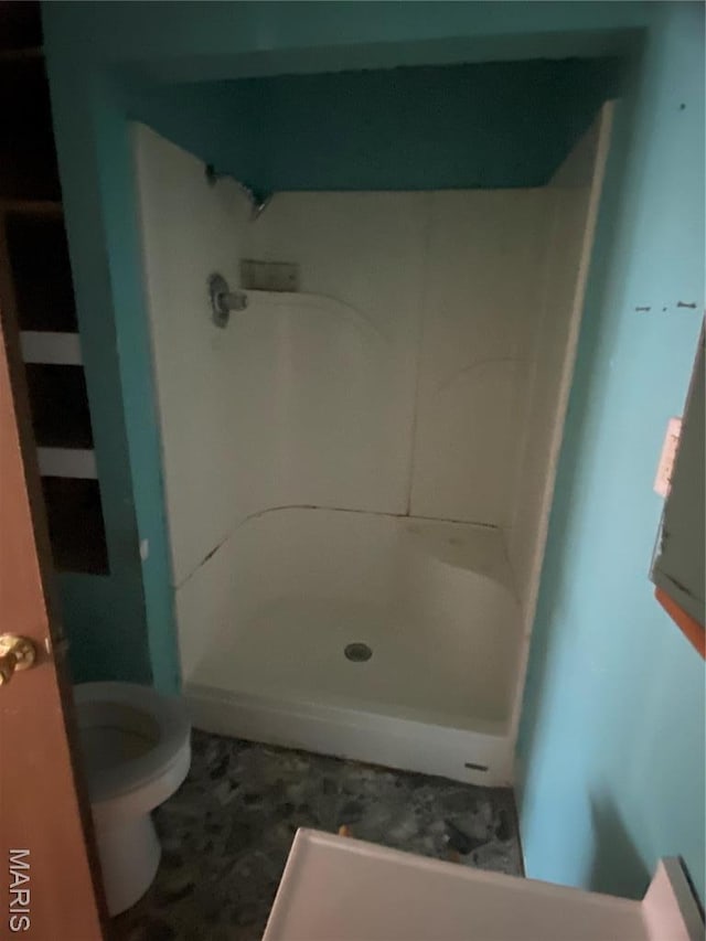 519 Albert St, Fredericktown, MO 63645 - bathroom featuring a shower and toilet
