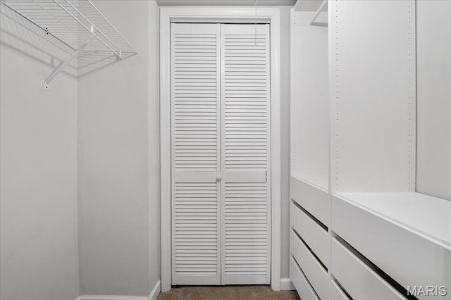 2014 Greenglen Dr Unit 101, Saint Louis, MO 63122 - walk in closet with dark colored carpet