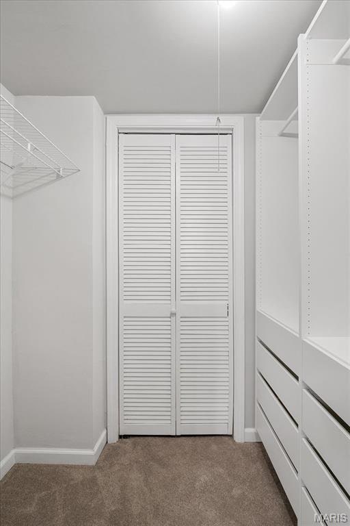 2014 Greenglen Dr Unit 101, Saint Louis, MO 63122 - spacious closet featuring carpet
